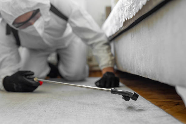 Professional Termite Control technician working in Higganum, CT