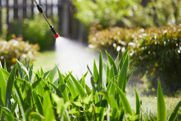 24/7 Emergency Termite Control experts in Higganum, CT