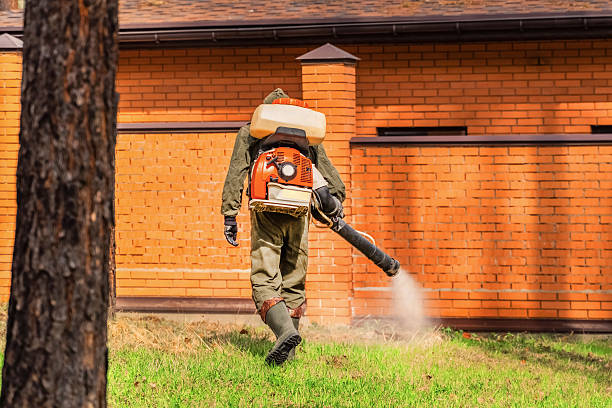 Trusted Cockroach Control service in Higganum, CT - Nex Pest Control
